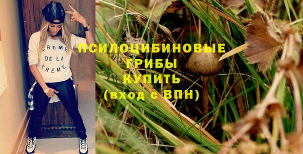 бошки Осташков