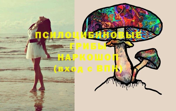 бошки Осташков