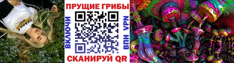 Галлюциногенные грибы мицелий  MEGA сайт  Красный Кут  где купить  